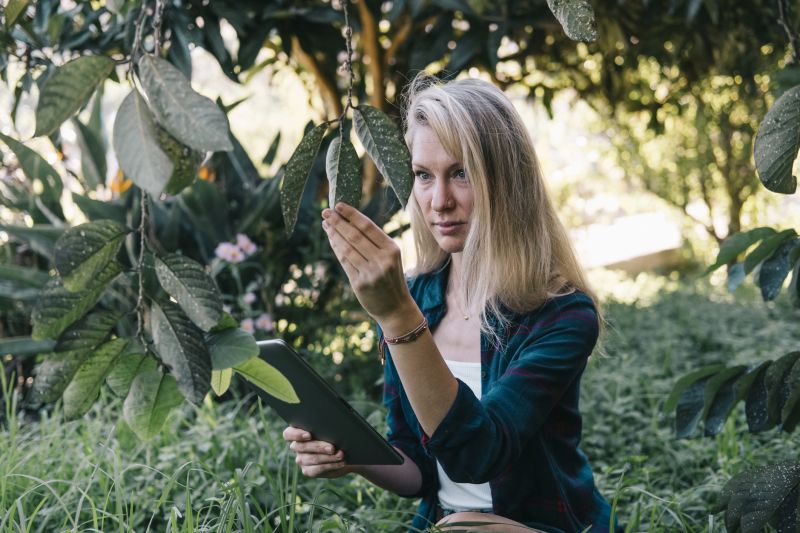 Leach Field Inspection Service